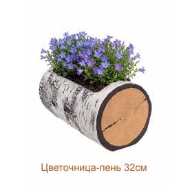 Цветочница-пень "БЕРЕЗА" горизонтальная, 32 см