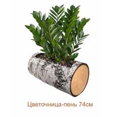 Цветочница-пень "БЕРЕЗА" горизонтальная, 74 см