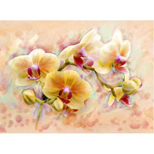 Фото Орхидея Б1-300, 200*147 см