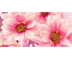Цветы романтика Б1-099, 300*147 см