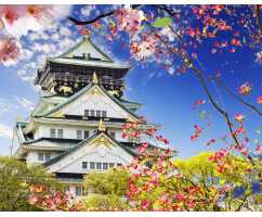 Замок в Осаке Б1-391, 300*238 см