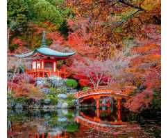 Осенний парк в Японии, 300*270 см