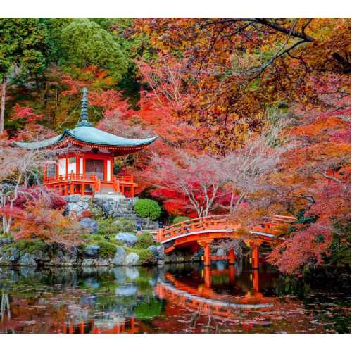 Фото Осенний парк в Японии, 300*270 см