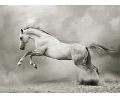 Белый конь 200*147 см