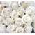 Розы белые Б1-091, 300*270 см