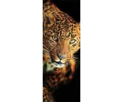 Леопард, 100*270 см