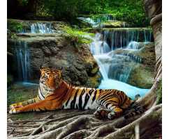 Тигр у водопада Б1-074, 300*270 см