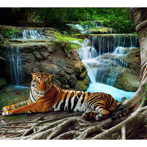 Фото Тигр у водопада Б1-074, 300*270 см