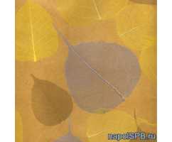 Листья  <<Прима Дорадо>> обои,  5,5х0,91 м